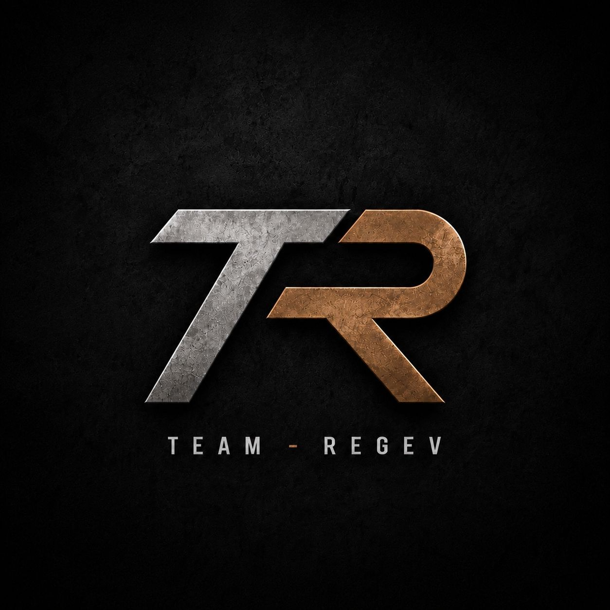 Team Regev